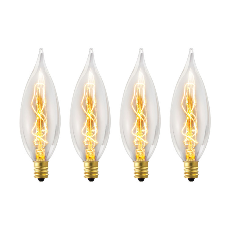 Congaree 25 Watt E12/Candelabra Dimmable 2700K Incandescent Bulb