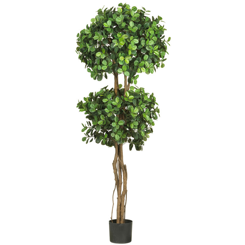 Arbre en soie 5,5 pi à double boule topiaire en soie Eucalyptus