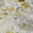 Alta Washable Floral Indoor / Outdoor Rug-964405492