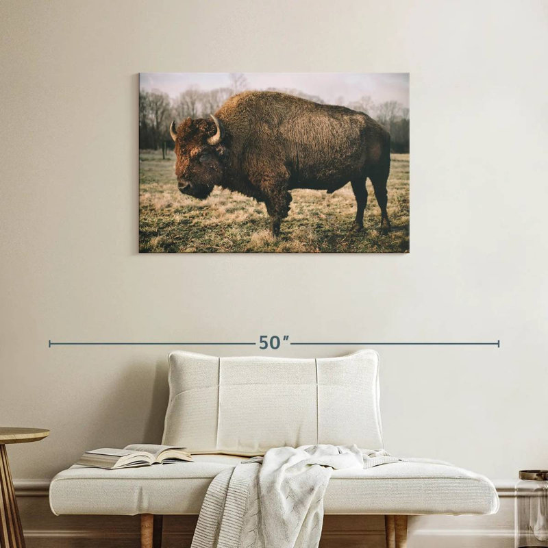 Solitary Bison IV, 24" H x 36" W