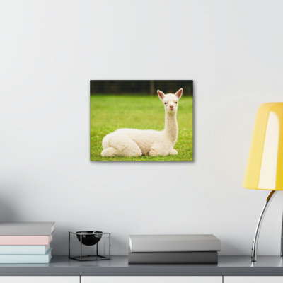 No Frame Print on Canvas