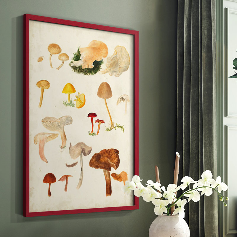 Reproduction encadrée de champignon Mushroom Species, H 10 po x l 8 po, Rouge