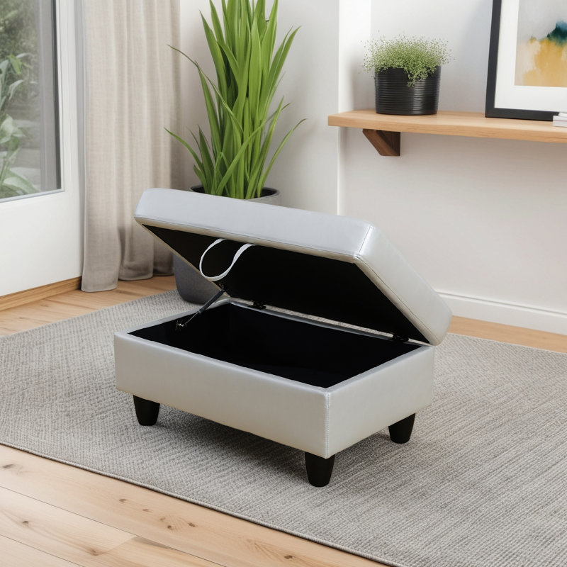 Repose-pieds avec rangement en faux cuir, Gris argenté
