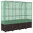 Raised Bed Polypropylene 63.0 In X 15.7 In-834384884