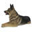 Lying German Shepherd