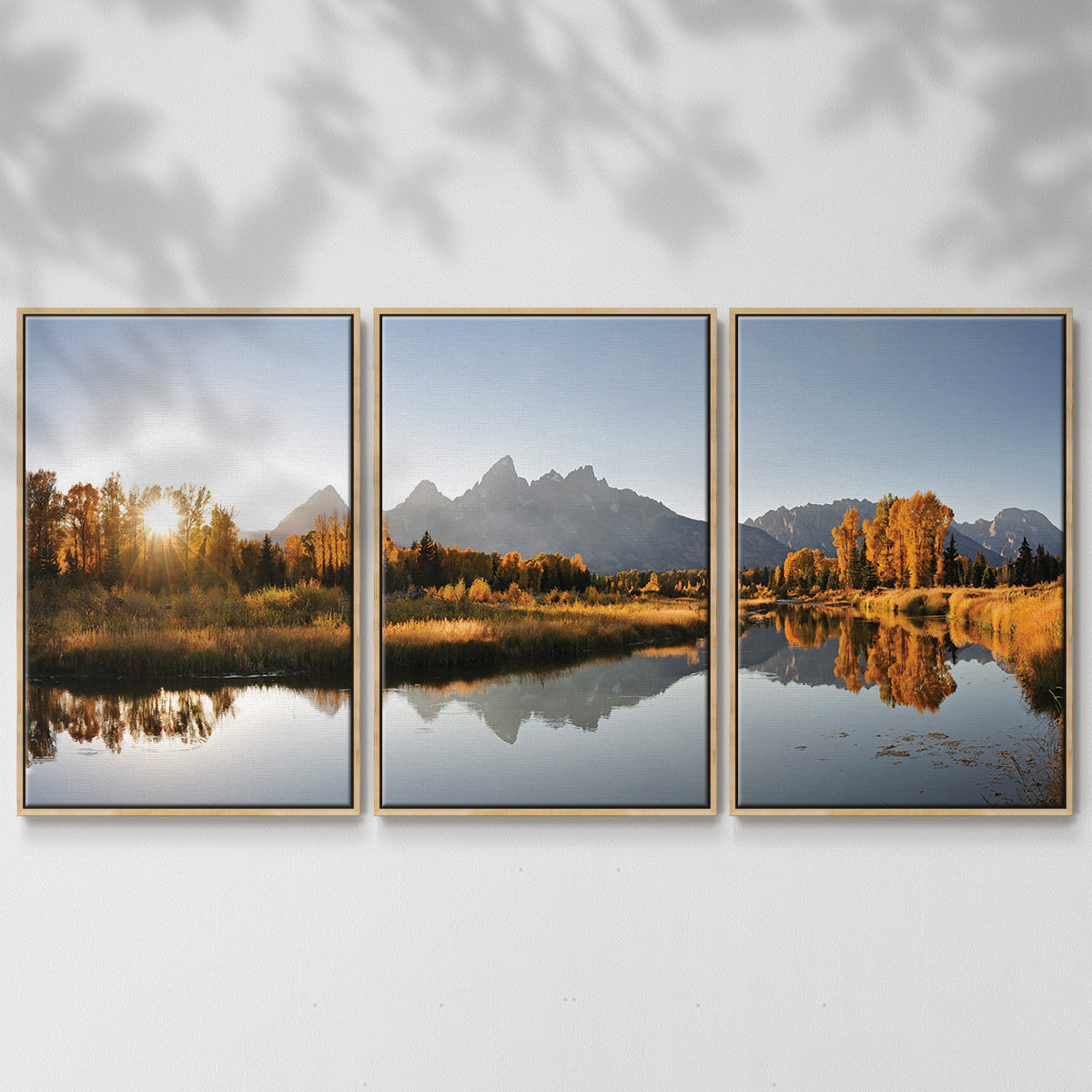 Millwood Pines Landing On Snake Framed On Canvas 3 Pieces Print | Wayfair