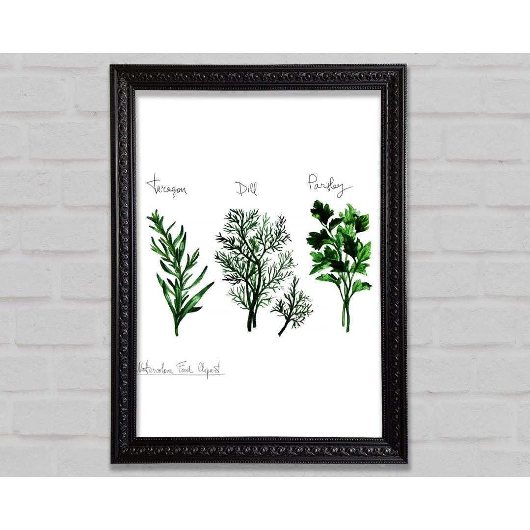 Herb Selection 1 - Einzelne Bilderrahmen Kunstdrucke