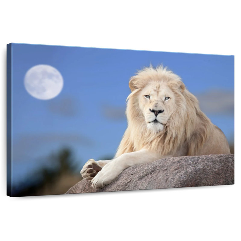 Brampt Lion Wild Cat, 24" H x 36" W