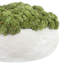 Sedum Arranged in a Stone Planter-2010919692-1985559459