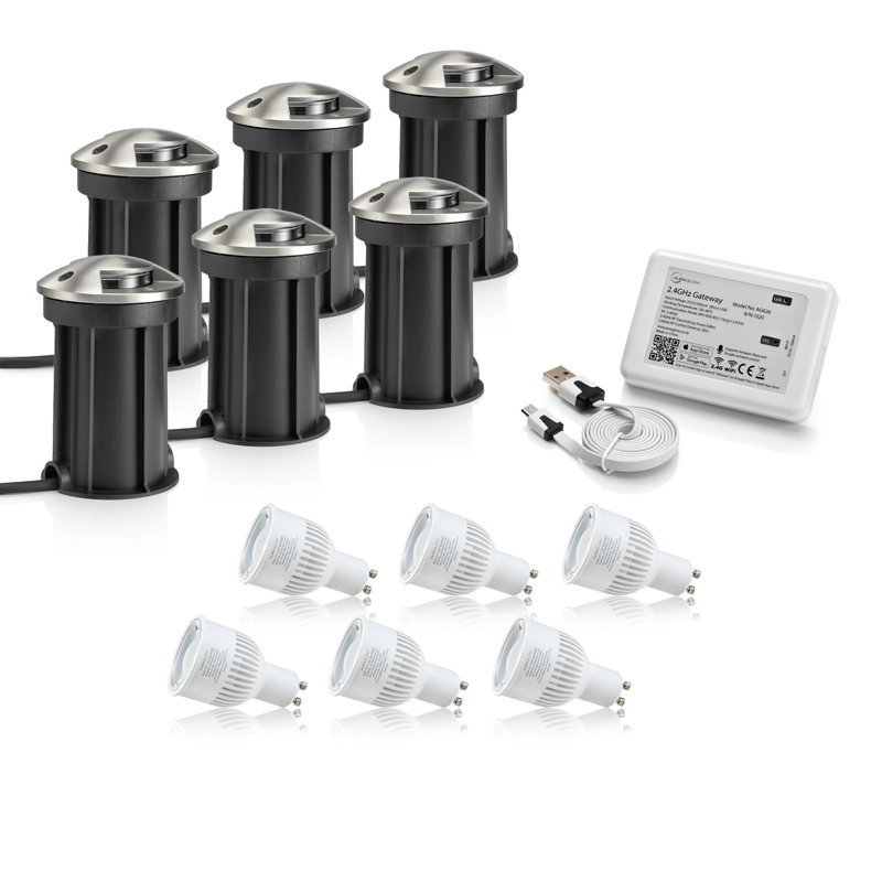 Casmalia Well Light Pack