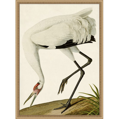 Oiseau 2 Print
