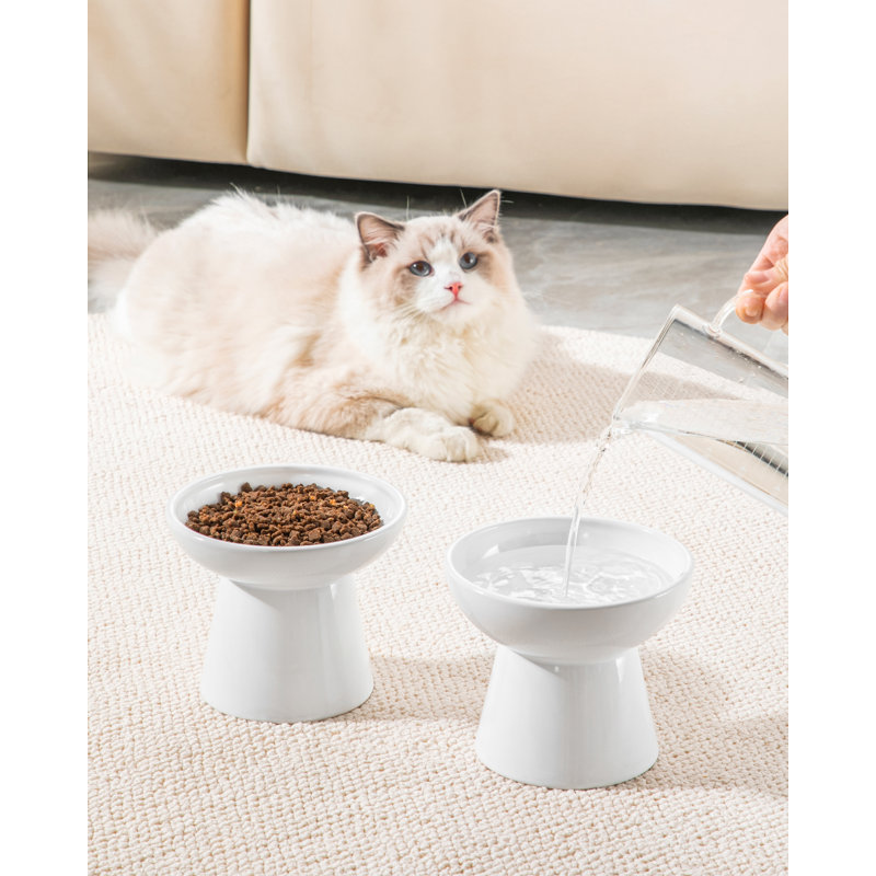 Elevated Feeder, White