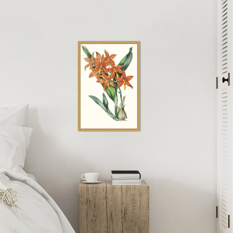 «Tropicals IV» par Jennifer Paxton Parker, reproduction d'art sur toile encadrée, H 23 po x l 16 po