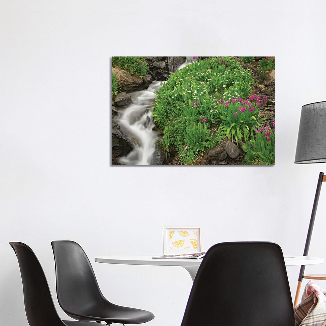 Porphyry Creek Near Silverton, Colorado II von Tim Fitzharris - Galerie-verpackte Leinwand Giclée auf Leinwand