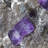 Madden Crystal