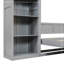 Full Size Murphy Bed With Shelves