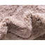 Tapis rouge sang Baynes-20513979-130905026