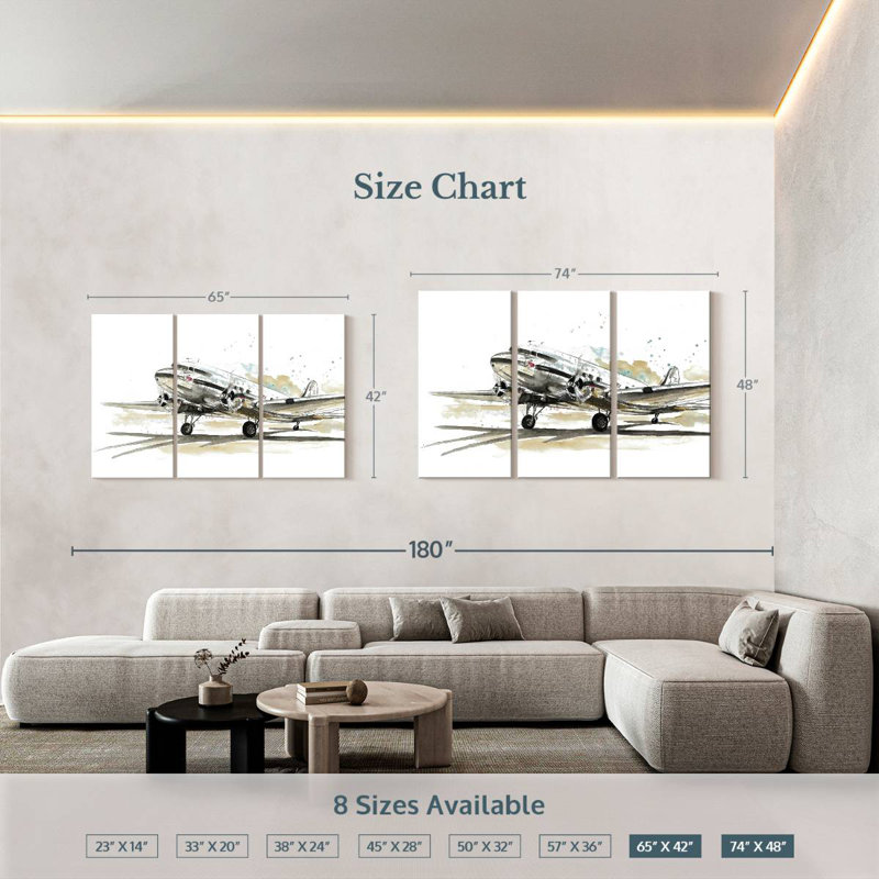 Mehar DC3 Airplane, 42" H x 65" W