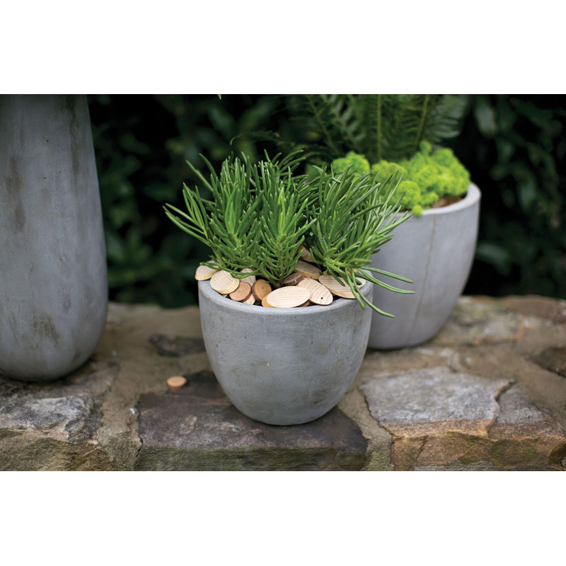 Trixie Newport Pot, H 5,5 po x l 6,5 po x P 6,5 po