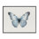 Art giclée sur papillon bleu symétrique par Elizabeth Medley
