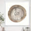 «Circle Natural Elements I», reproduction sur toile encadrée-48300896-48300900