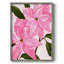 Reproduction encadrée néon rose poinsettias II - bois massif-143807514