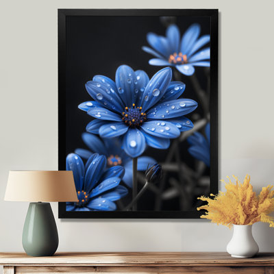 Monochromes bleus noirs, gouttes de pluie, fleurs II - marguerites, art mural
