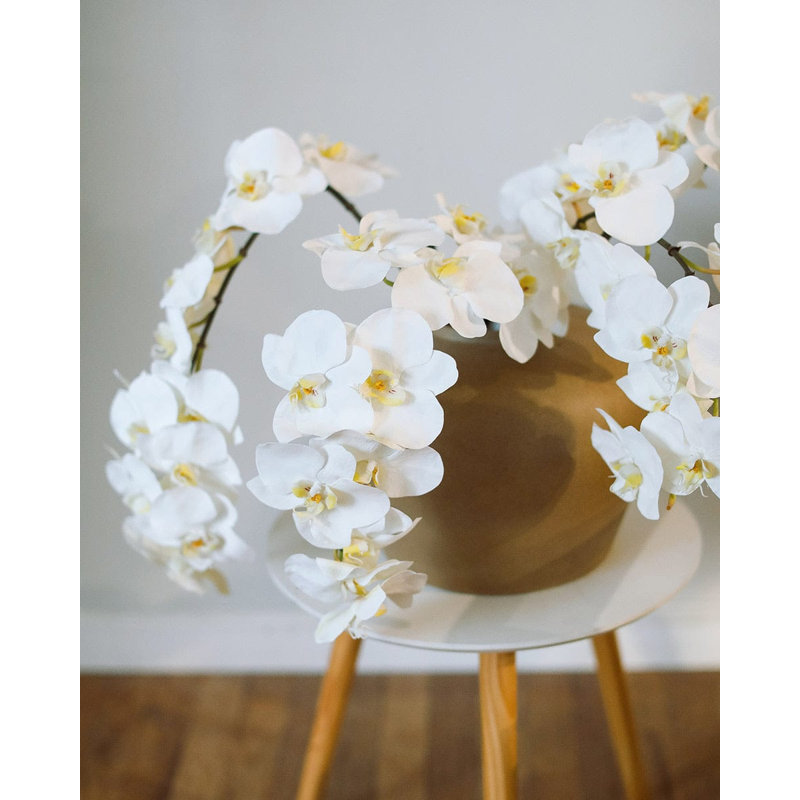 Green Phalaenopsis Orchid 33", White, 34" H x 3" W