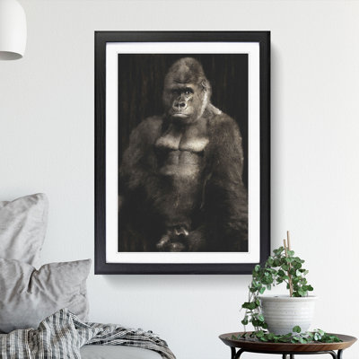 Silverback Gorilla Vol.2 - Framed Print