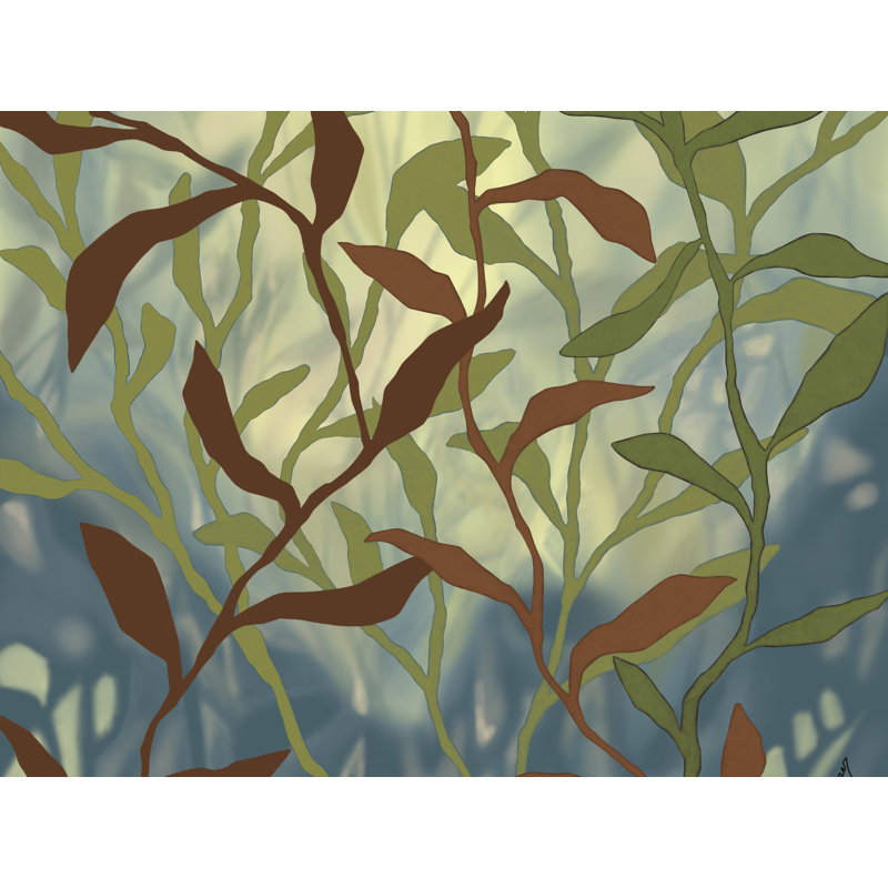 «Morning Light» par Trish Sierer - photographie, H 17,25 po x l 21,25 po, Blanc mat