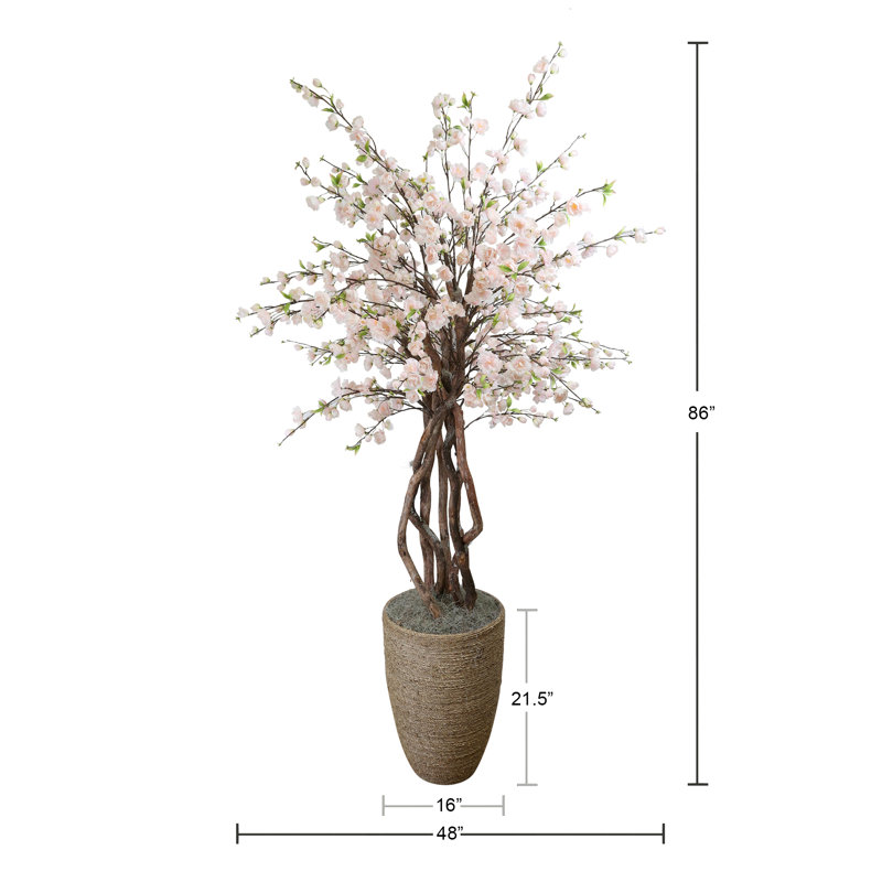 Cherry Blossom and Dragon Wood Tree in Rope Pot