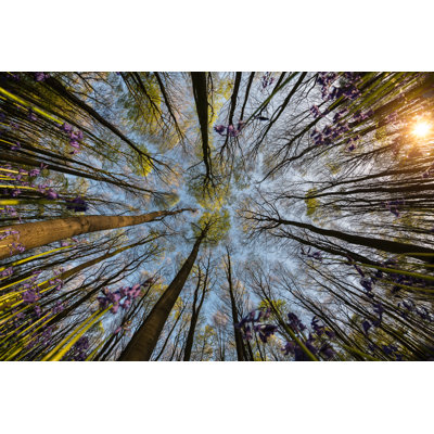 Forest With Purple Flowers by Caputolaurent - Wrapped Canvas Print