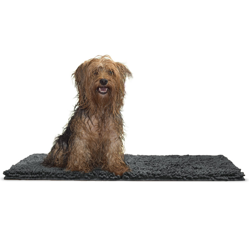 Charcoal Gray Medium Absorbent Pet Shammy Rug