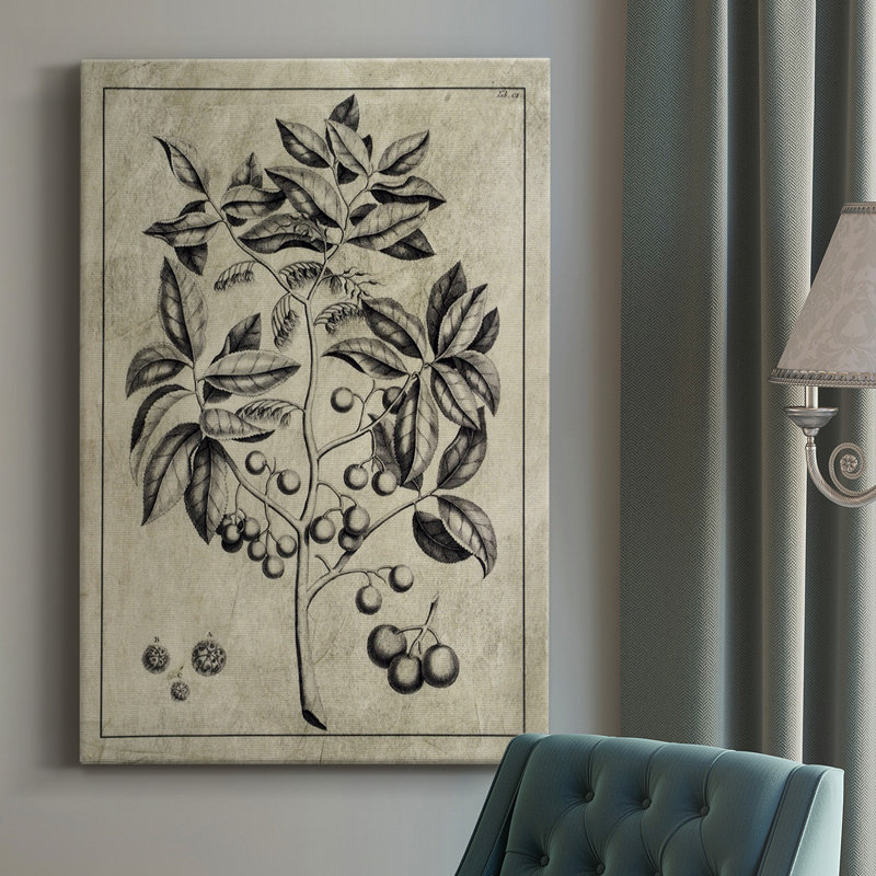 Impression sur toile tendue embellie Antique Foliage VI, H 18 po x l 12 po x P 1 po