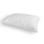 Soft Plush Memory Foam Support Pillow (Set Of 2)-1423106293