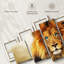 Lion aux yeux bleus 5 pièces-92829201