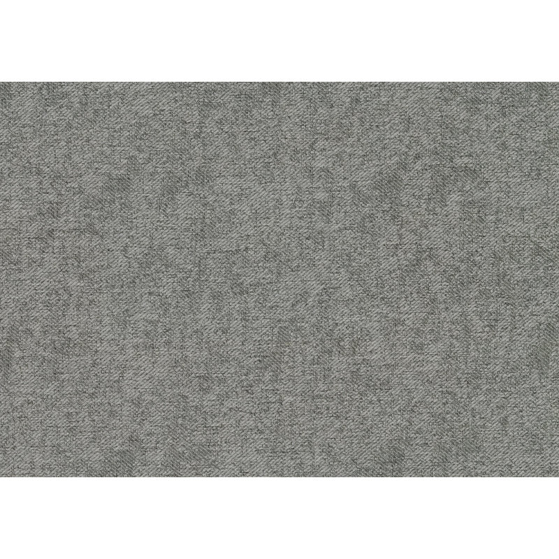 Ensemble de 2 chaises d'appoint en bois rembourrées en tissu texturé