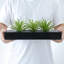 Artificial Grass in Planter
