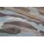 Vivace Geometric Area Rug-61006741