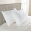 Oreiller hypoallergénique EnviroLoft-268026647