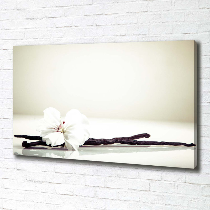 Vanilla Stick - Wrapped Canvas Print