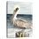 Brampt Muted Perched Pelican