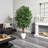 72'' Faux Ficus Tree in Ceramic Planter