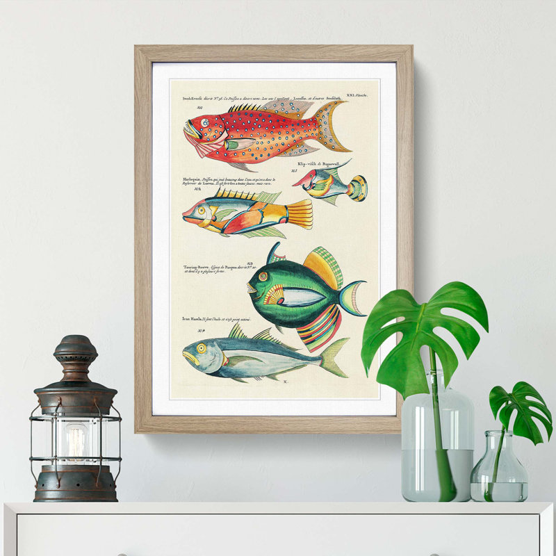 East Indies Fish Illustrations XXI by Louis Renard - Picture Frame Graphic Art Print, 65cm H x 48cm W x 2cm D, Oak Framed