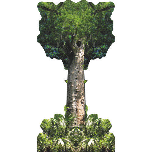 H13694 «The Pond Pond Cypress Florida Tree» en carton découpé
