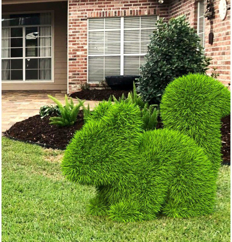 Topiaire écureuil vert extérieur
