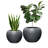 Dorlis Fiberstone Pot Planter-388860561-339756818