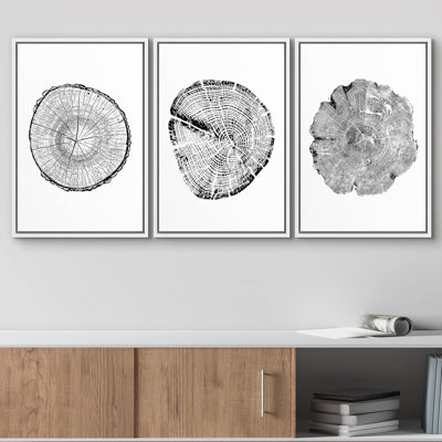 Tree Rings " Black And White Wood Grain Tree Tings Minimalist Neutral Modern Art " 3 - Pieces