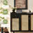 Modern Black Solid wood Shoe Storage