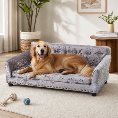 Canapé pour chien
